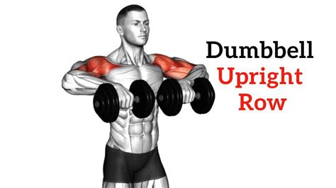 Dumbbell Upright Row: How To Do and Muscles Worked