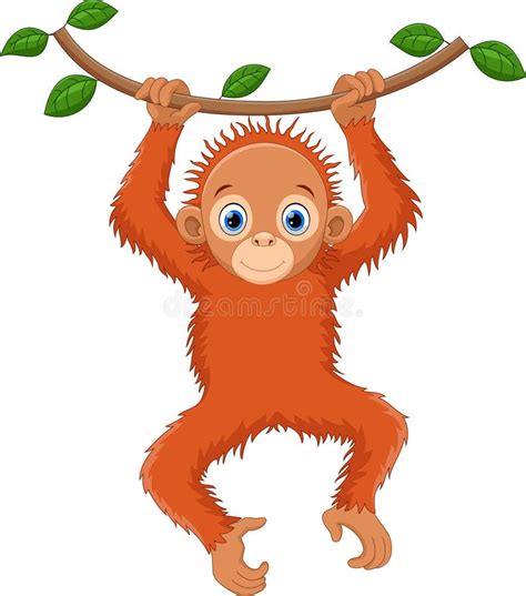 Orangutan Stock Illustrations – 5,211 Orangutan Stock Illustrations ...