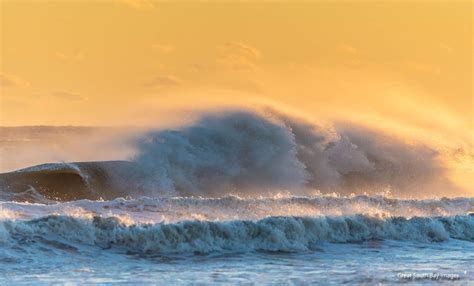 Photos and Video: Wild Wind and Waves on Fire Island - Fire Island and ...