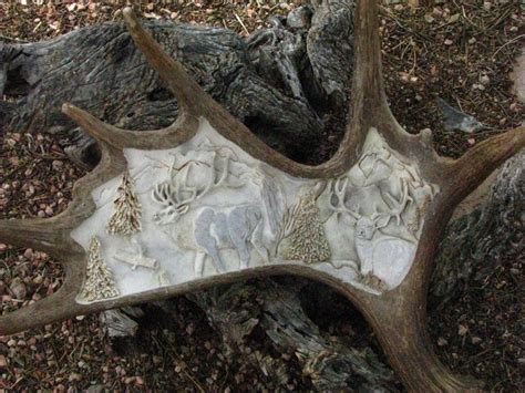 CALL OF THE WILD: Moose Horn Carvings