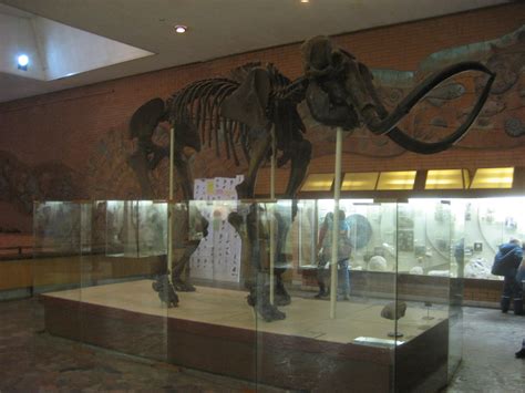 blogarithm: Paleontology Museum