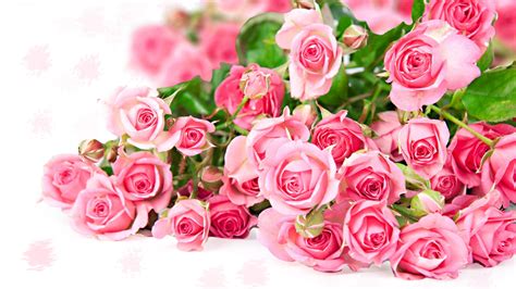 Pink rose flower bouquet, romantic color Wallpaper | 1920x1080 Full HD ...