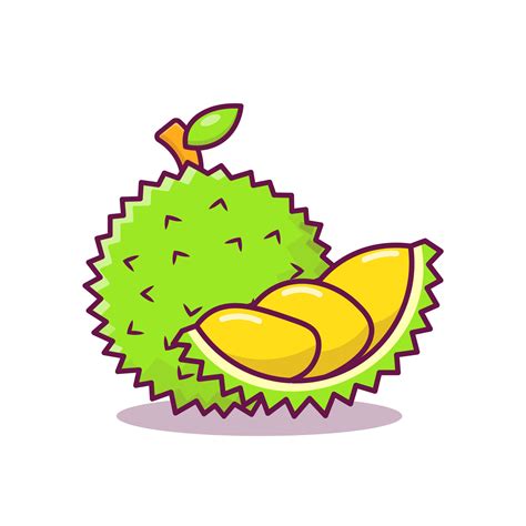 Durian cartoon vector icon illustration 16102800 Vector Art at Vecteezy