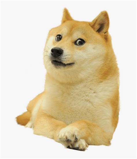 Doge Full Smiling, HD Png Download - kindpng