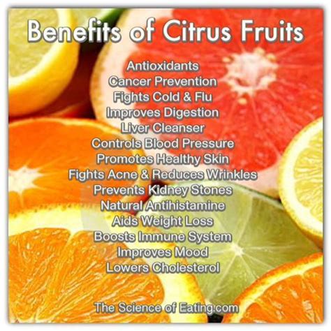 Benefits of Citrus Fruits | The Food Hotlist