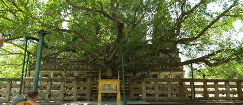 Mahabodhi Temple at Bodh Gaya - Holiest of shrine for the Buddhists