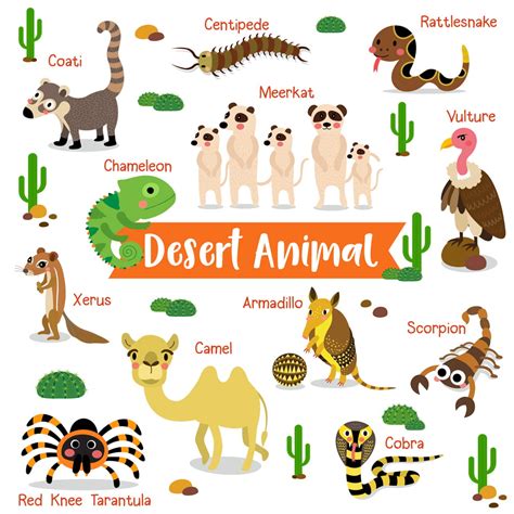 Science Of Desert Life: What Is It To Live In A Desert?