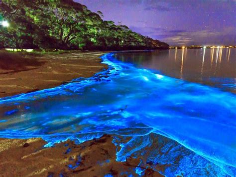 Luminous Lagoon, Trelawny, Jamaica | Beautiful places in the world ...