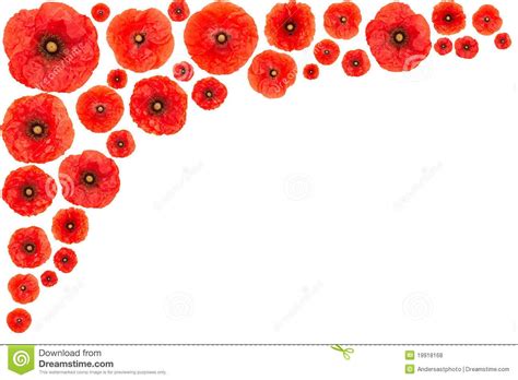 Poppy Clipart at GetDrawings | Free download