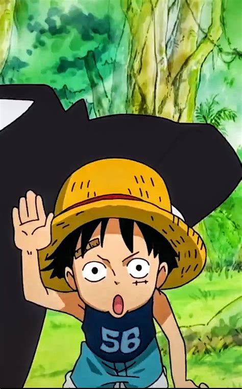 Funny Luffy Face HD wallpaper | Pxfuel