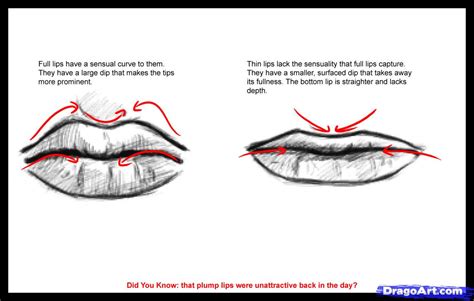 Male Lips Drawing at GetDrawings | Free download