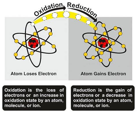 Difference Between Oxidation and Reduction: Explanation and Examples (2022)