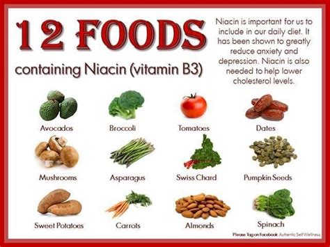 12 foods containing Niacin (B3) vitamin. Niacin is great for the brain ...