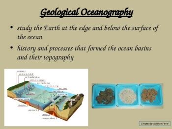 Branches of Oceanography Notes by Science Fever | TpT