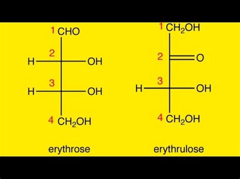 Tetrose | Erythrose | Erythrulose| Monosaccharides - YouTube