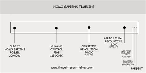 homo-sapiens-timeline | The Quintessential Mind