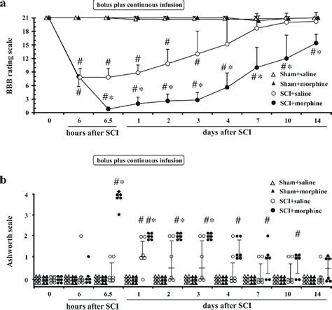 Effects of continuous infusion of intrathecal (IT) morphine on ...