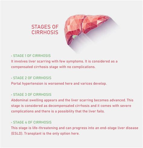 What are the Final Stages of Cirrhosis of the Liver? - Fatty Liver Disease