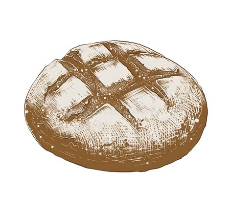 Hand Drawn Sketch of Bread Loaf in Colorful Isolated on White ...