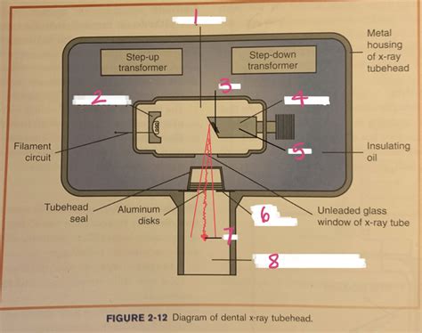 Ch. 2 Diagram of dental x-ray tube head Labeling Diagram | Quizlet