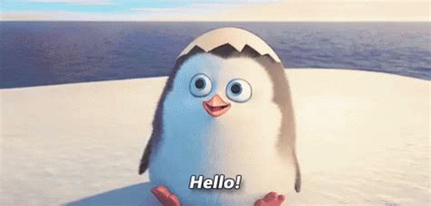 Hello Penguin GIF - Hello Penguin Penguins - Discover & Share GIFs