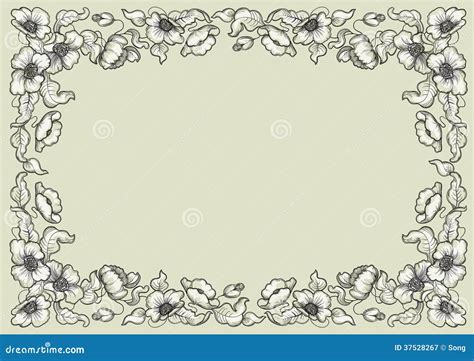 Poppy border stock vector. Illustration of line, leaves - 37528267