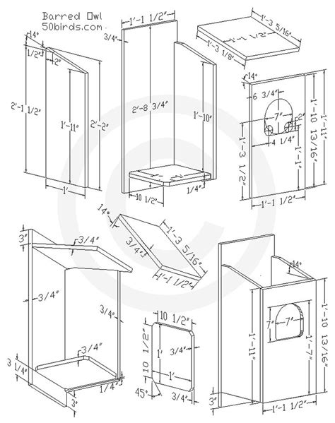 Barred Owl Nest Box Plans - 70birds | Owl birdhouse, Bird houses, Bird ...