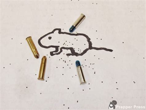 Everything to Know About .22 Rat Shot (Snake Shot) - SHTF Blog – Modern ...