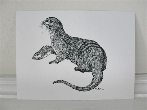 drawing otters | Mary Richmond's Cape Cod Art and Nature