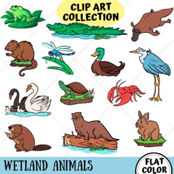 Wetland Animals Clip Art Collection by KeepinItKawaii | TpT