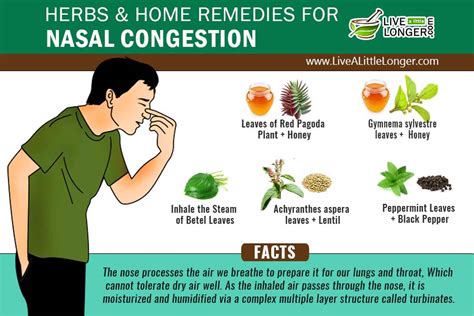 Home Remedies For Nasal Congestion - Natural Remedy From Your Kitchen ...