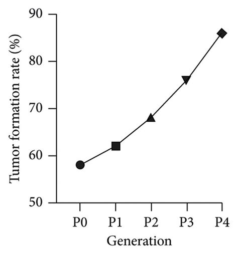 Data related to the construction of PDX model for oral squamous ...