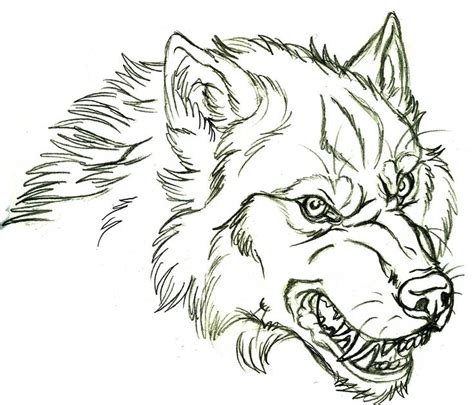 Wolf face drawing, Wolf sketch, Wolf drawing