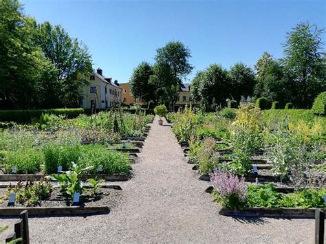 Linnaeus Garden (Uppsala) - 2019 All You Need to Know BEFORE You Go ...