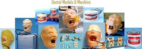 Dental Simulator | Manikin inc – Buyamag INC