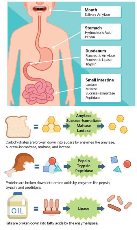 Suffering from heartburn, reflux, and other digestion challenges ...