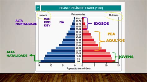 População brasileira : análise das pirâmides etárias do Brasil - YouTube