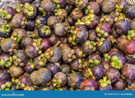 Mangosteen fruit for sale stock image. Image of nutrition - 103415723