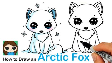 How to Draw an Arctic Fox Easy - YouTube