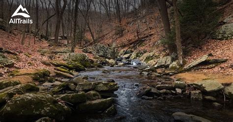 Best hikes and trails in Randolph | AllTrails