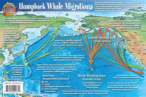 Pacific Humpback Whale Migration Card – Frankos Maps