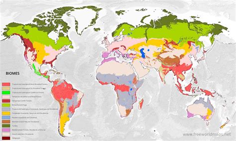 Tropical Rainforest Biome Map