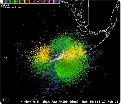 Millions of migrating birds light up weather radar across Florida’s ...