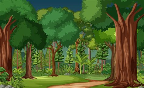 Forest scene with many trees 2149485 Vector Art at Vecteezy