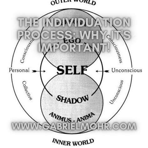 The Individuation Process: Why It's Important! ~ Gabriel Mohr