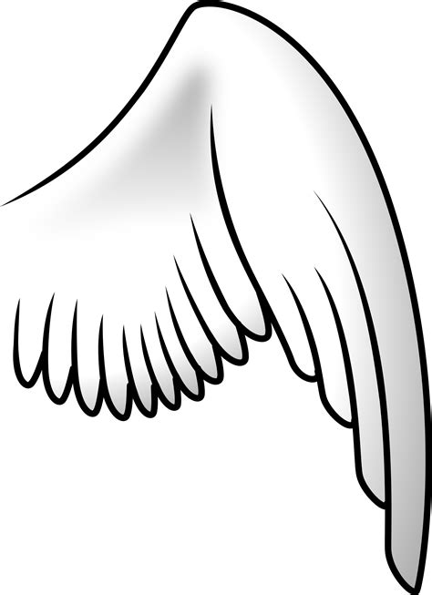 Drawing Wings Cartoon Transparent Background Png Clipart Hiclipart ...