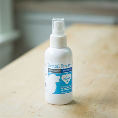 8 Great Products To Clean Your Dog's Teeth