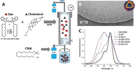 Figure 2 from Nanostructuring Lipophilic Dyes in Water Using Stable ...