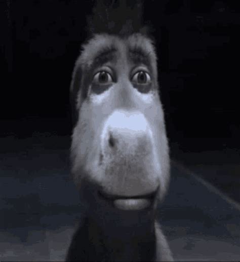 Shrek Donkey GIF – Shrek Donkey Slow – discover and share GIFs