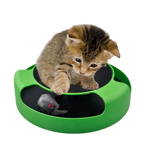 2 in 1 Interactive Cat Toys – Product Testing Group